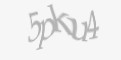 Қорғаныс коды